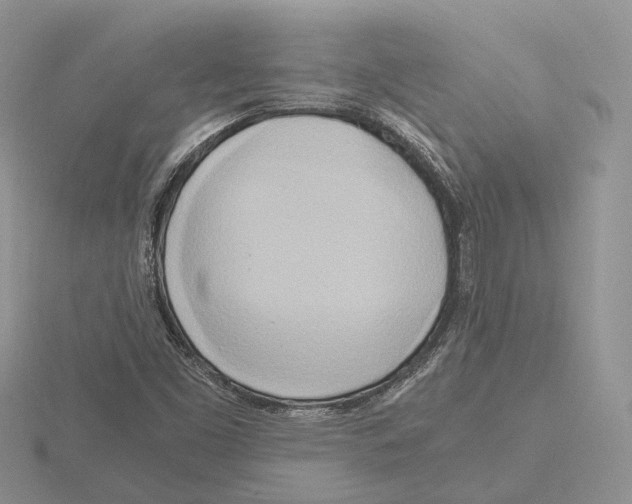 X0000115661453200912101041