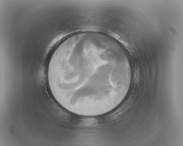 X0000115661454200912101041