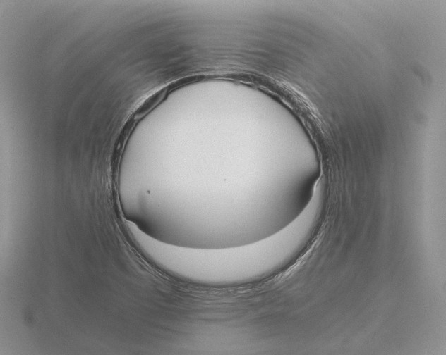 X0000115661457200912101041