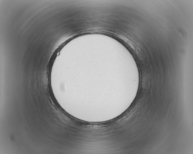 X0000115661458200912101041