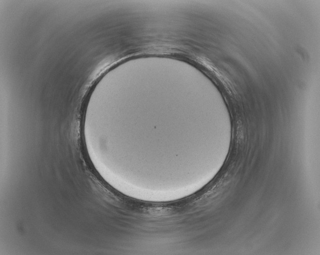 X0000115661459200912101041