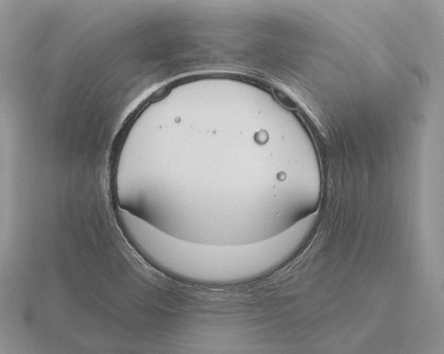 X0000115661460200912101041