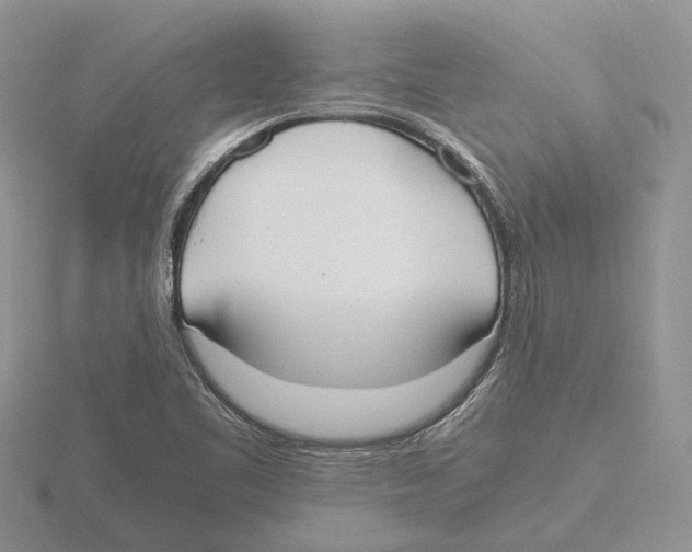 X0000115661461200912101041