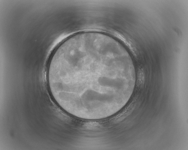 X0000115661462200912101041