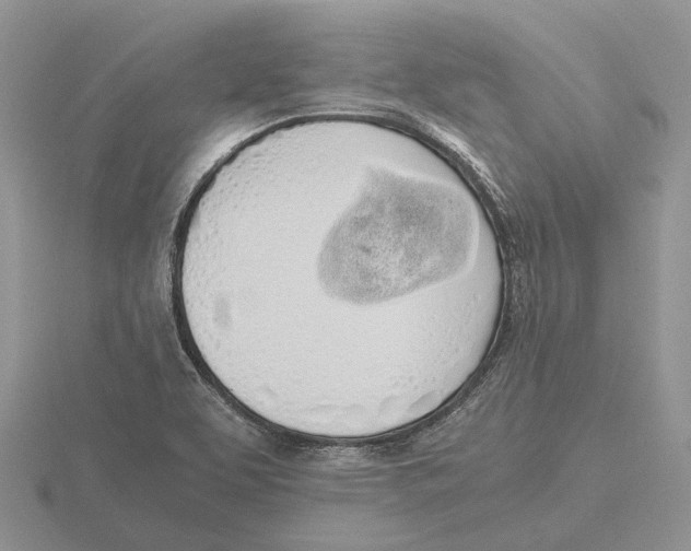 X0000115661463200912101041