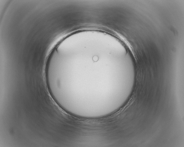 X0000115661464200912101041