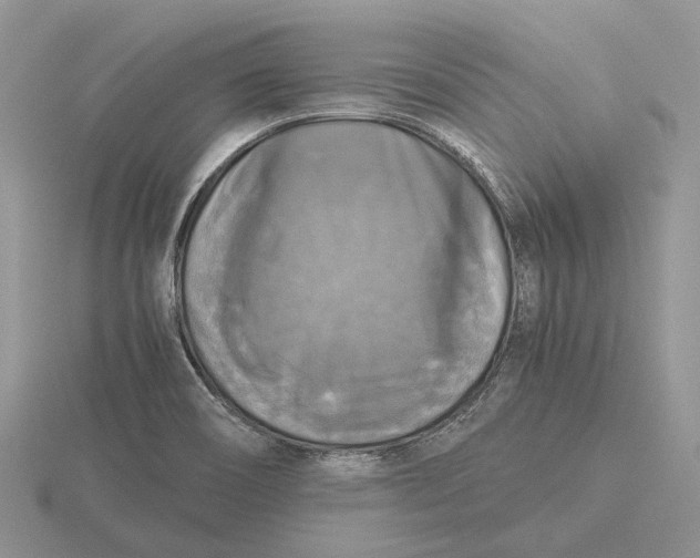 X0000115661466200912101041