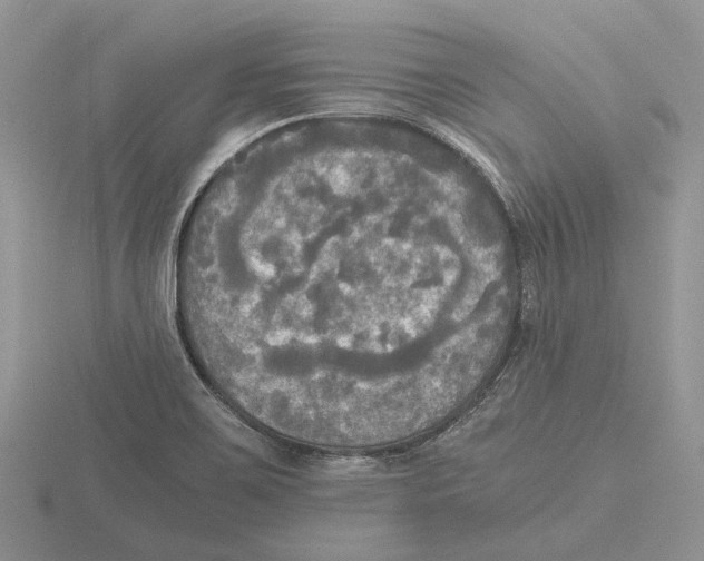 X0000115661467200912101041