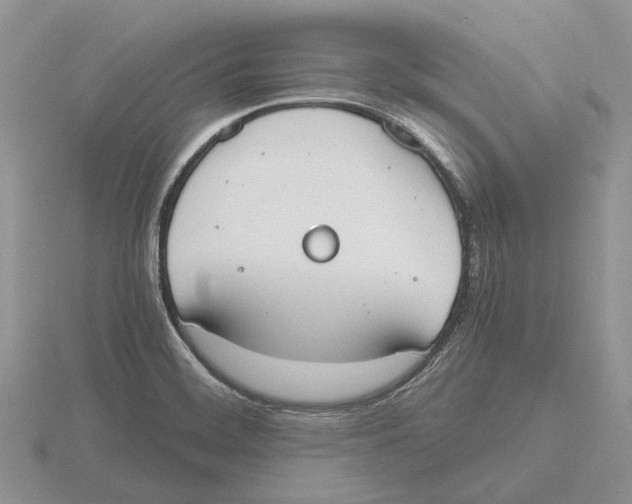 X0000115661468200912101041