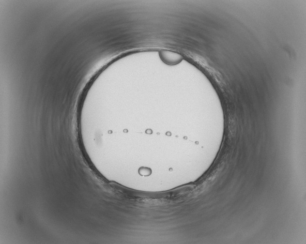 X0000115661469200912101041