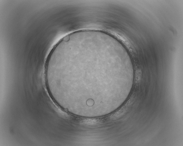 X0000115661470200912101041