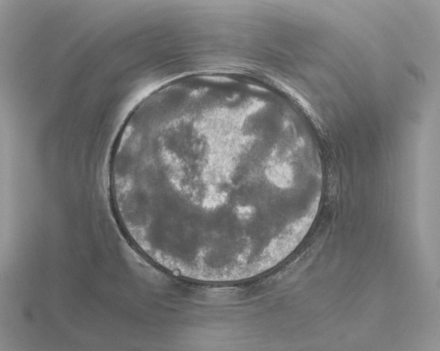 X0000115661471200912101041