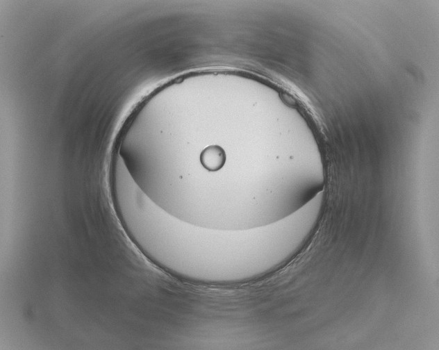 X0000115661472200912101041