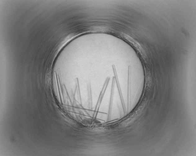 X0000115661473200912101041