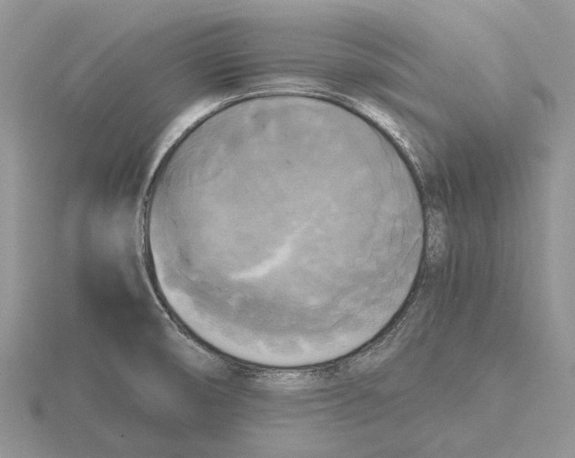 X0000115661474200912101041