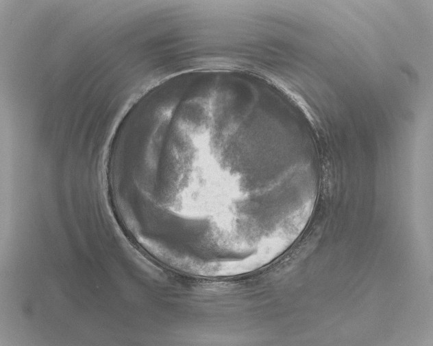 X0000115661475200912101041