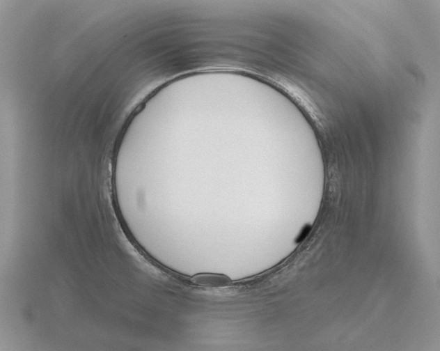 X0000115661476200912101041