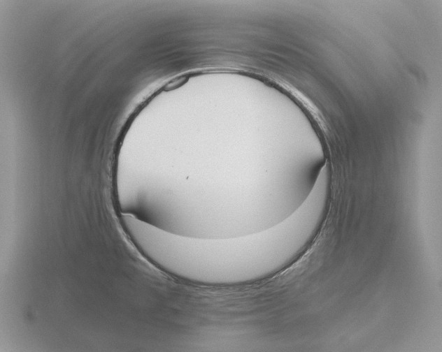 X0000115661477200912101041