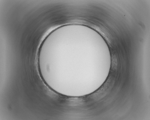 X0000115661478200912101041