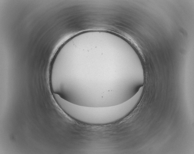 X0000115661480200912101041