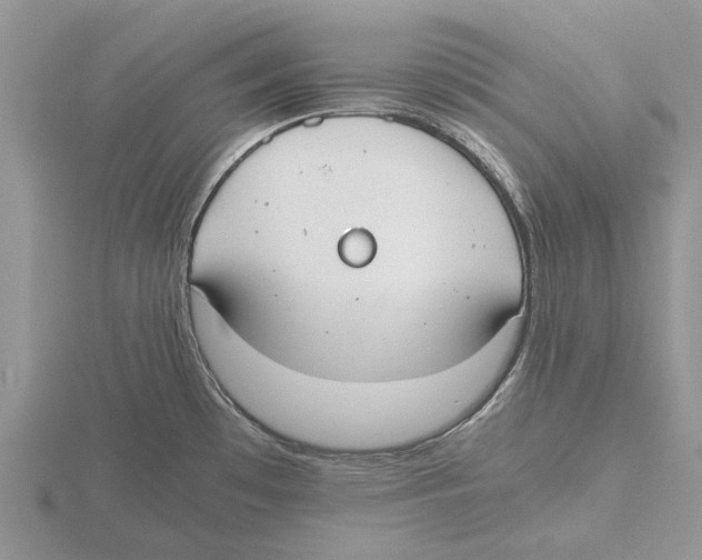 X0000115661481200912101041