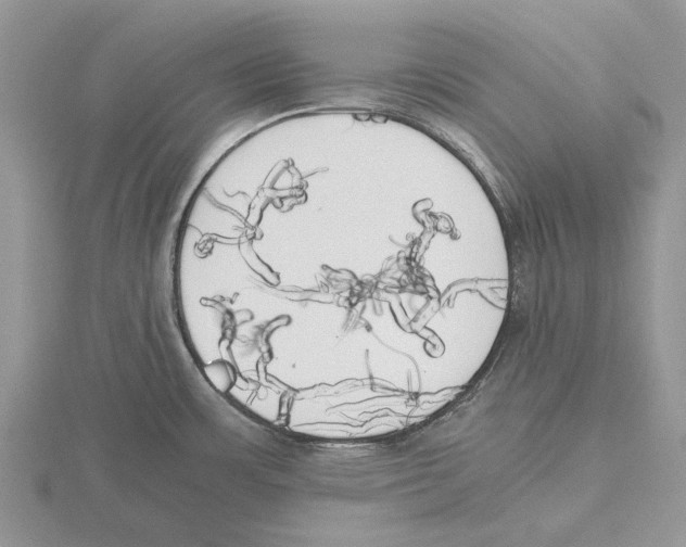 X0000115661483200912101041