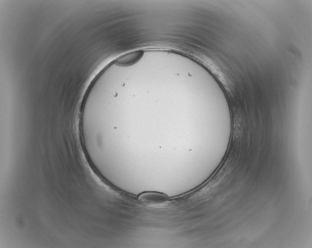 X0000115661484200912101041