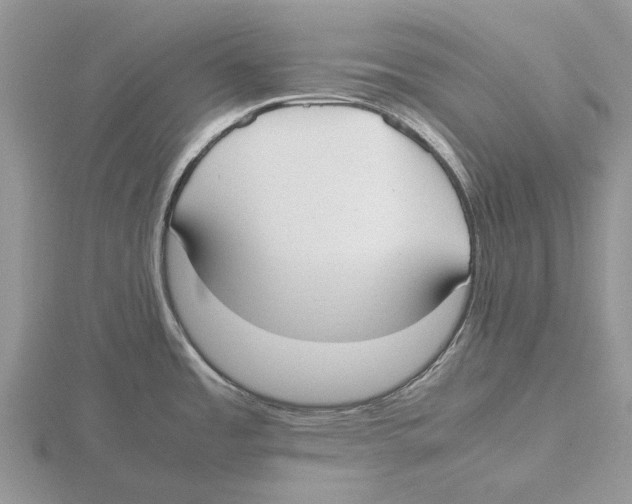 X0000115661485200912101041