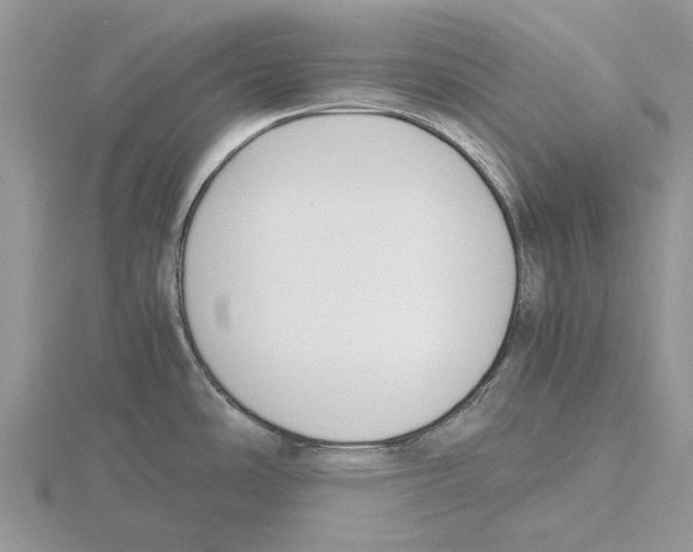 X0000115661486200912101041