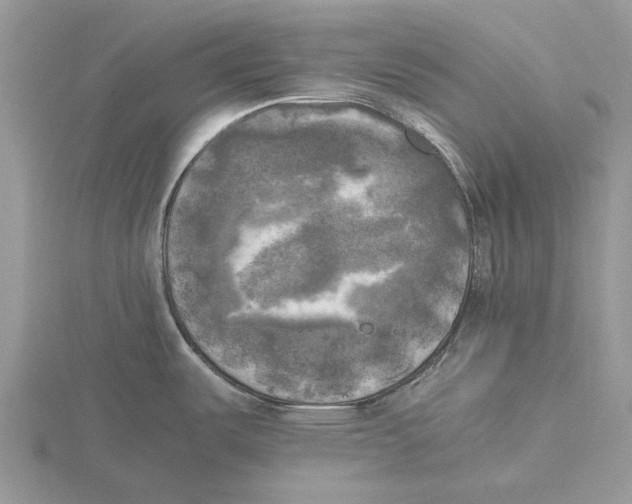 X0000115661487200912101041