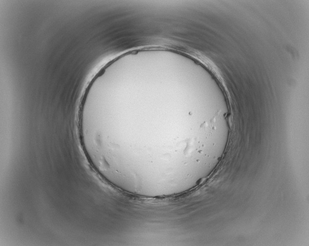 X0000115661488200912101041