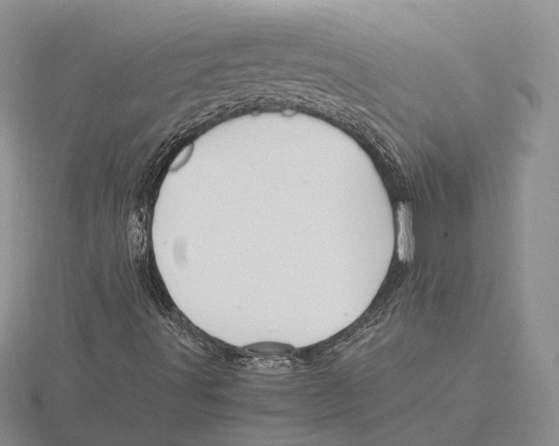 X0000115661491200912101040