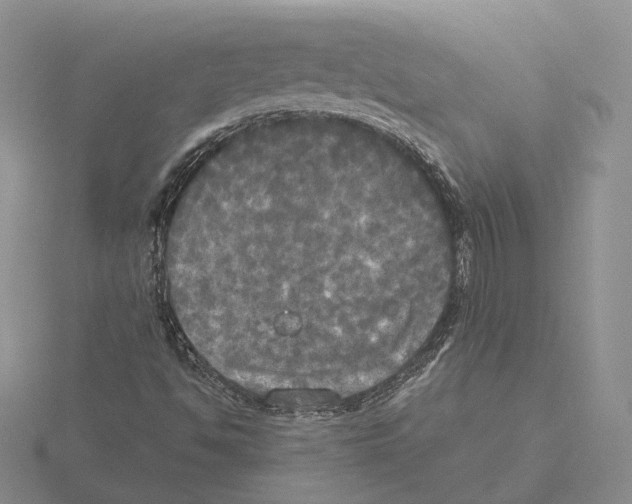 X0000115661494200912101040