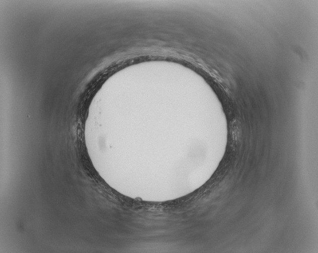 X0000115661495200912101040