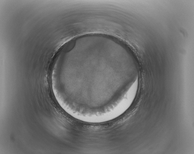 X0000115661497200912101040