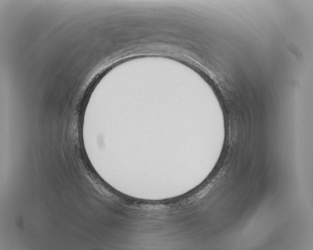 X0000115661498200912101040