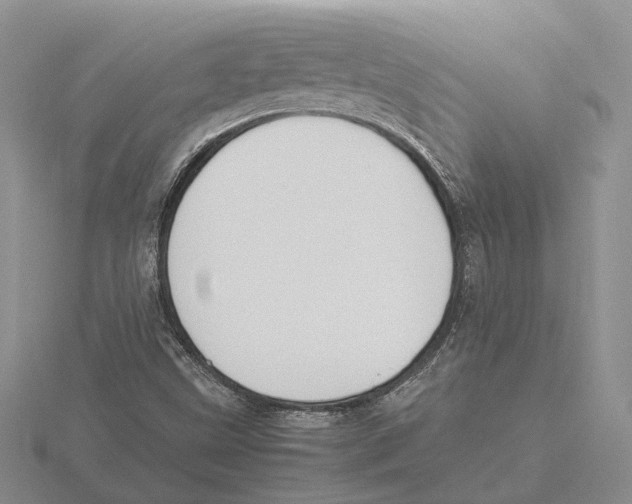 X0000115661499200912101040