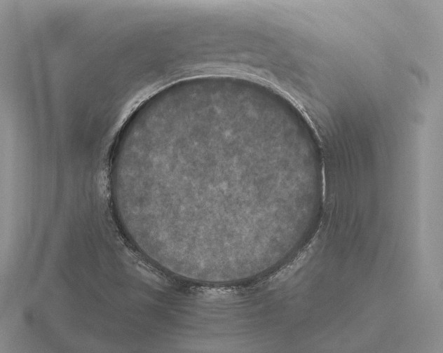 X0000115661501200912101040