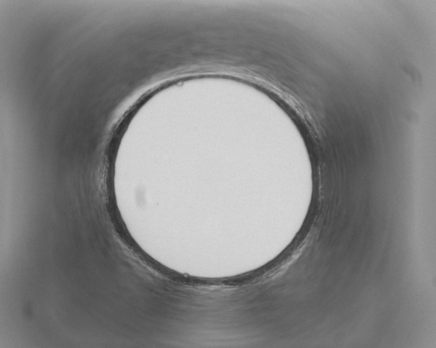 X0000115661502200912101040