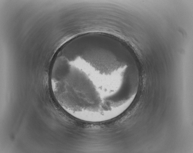 X0000115661505200912101040