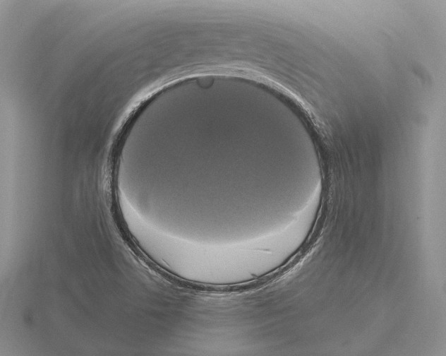 X0000115661506200912101040