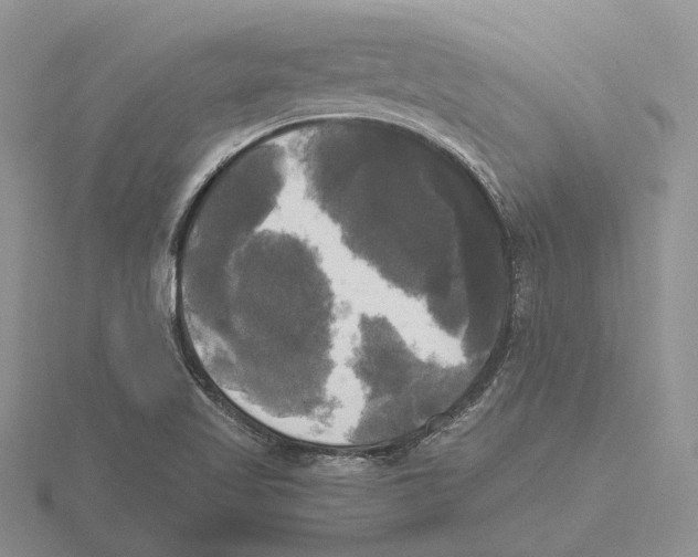 X0000115661509200912101040