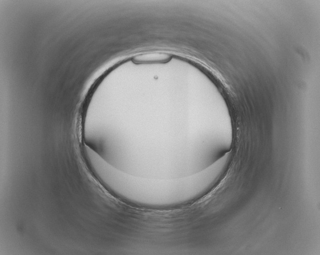 X0000115661510200912101040