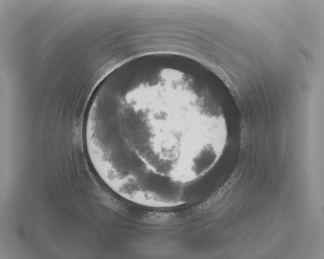 X0000115661513200912101041