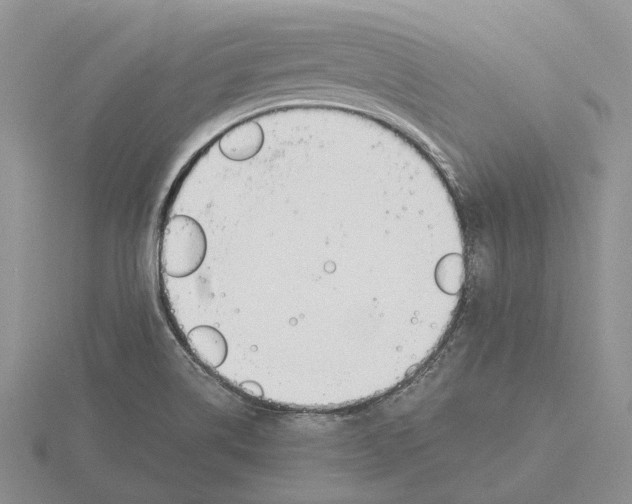 X0000115661514200912101041