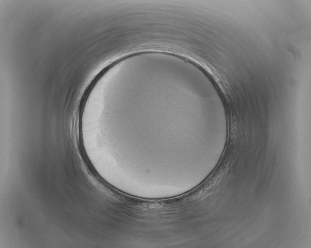 X0000115661515200912101041