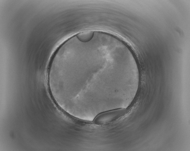 X0000115661517200912101041