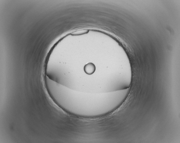 X0000115661518200912101041