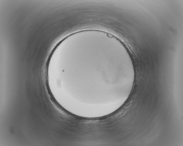 X0000115661519200912101041