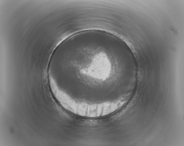 X0000115661521200912101041